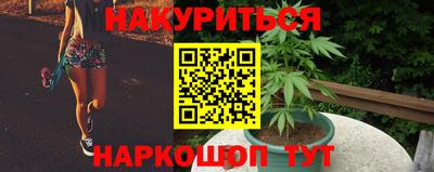 герыч Можга