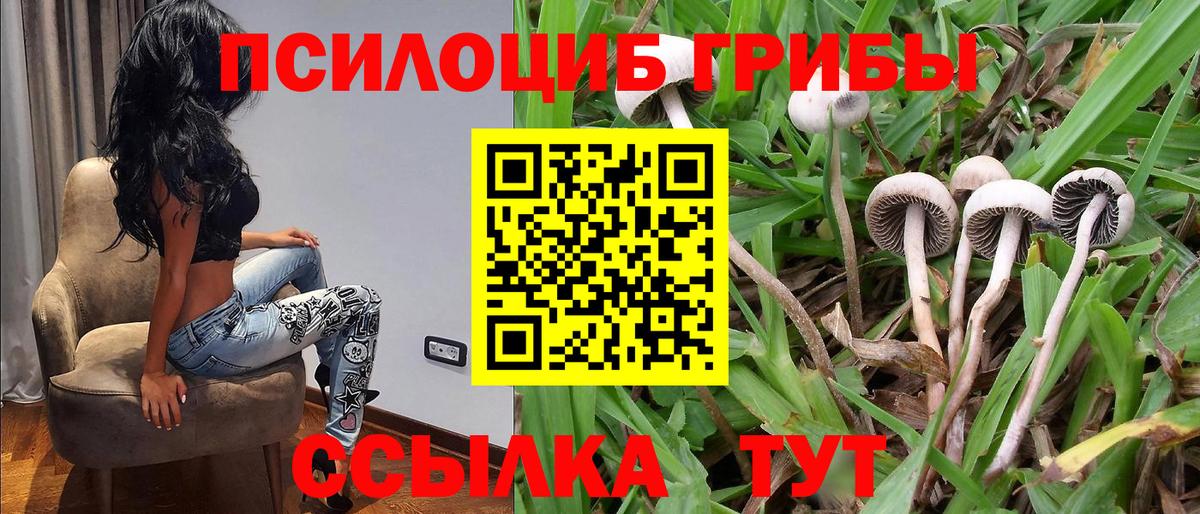 Галлюциногенные грибы ЛСД Щёлково