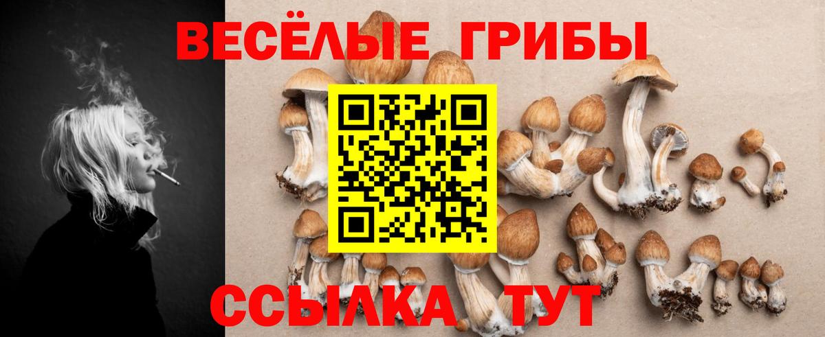 Щёлково  Галлюциногенные грибы GOLDEN TEACHER  Вход с VPN 
