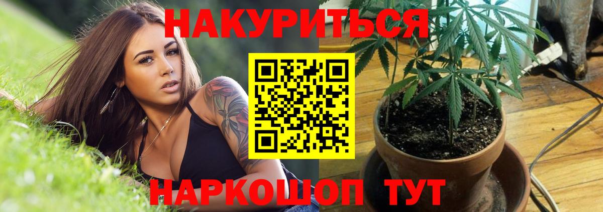 Щёлково  Бошки Шишки Bruce Banner  Марихуана сатива  Вход с VPN  МАРИХУАНА планчик 